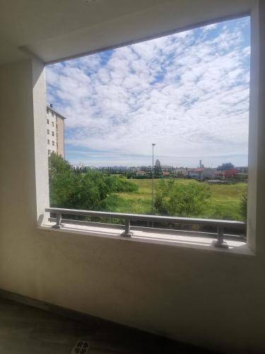 foto5