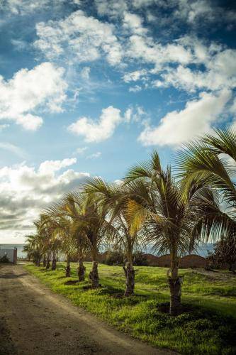 Bed and breakfast Los Organos