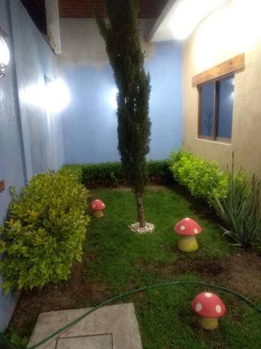 foto9