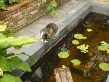Bed & Breakfast Groningen