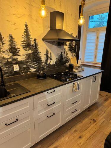 Apartament Strzelin