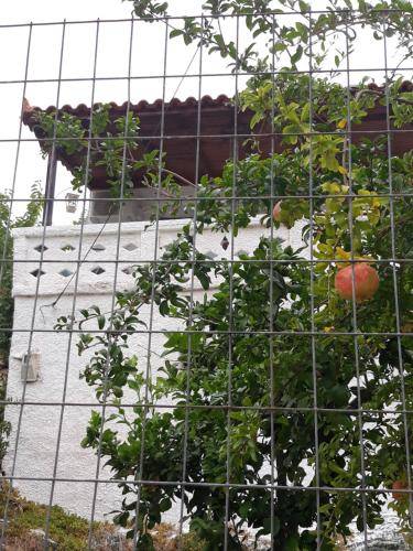 σπίτι Νέα Στύρα