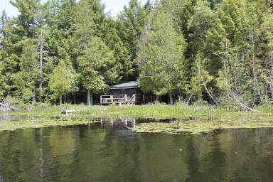 Cabin  Saranac Lake
