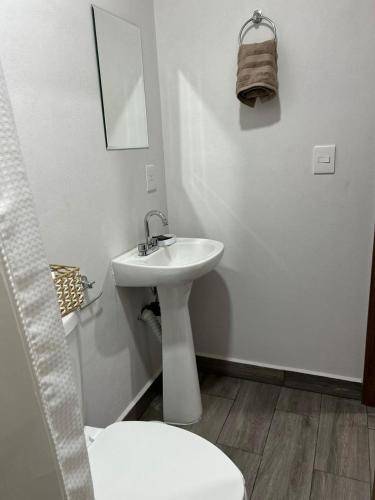 foto14