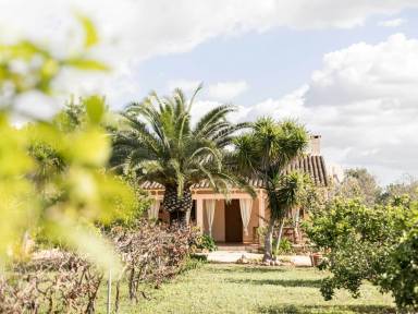 Apartamento Lluchmayor