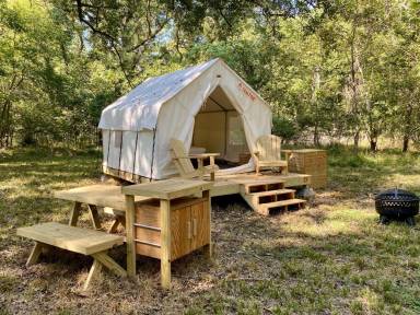 Camping Brazos Bend State Park