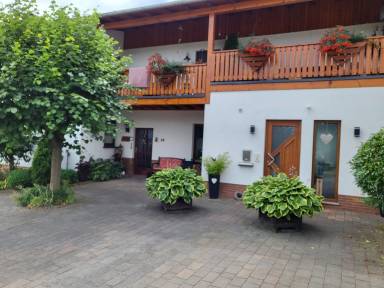 Apartment  Vöhl