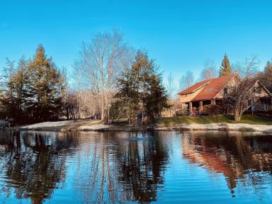 Cabin Windham