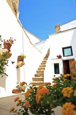House Taviano