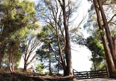 Cabin  Ulverstone