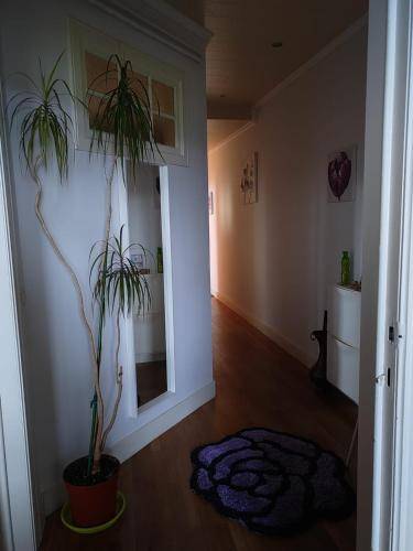 foto15