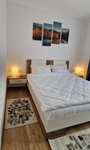 Apartment Cristian