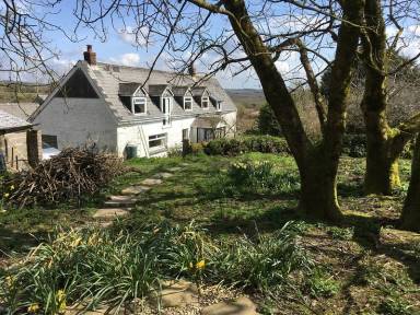 Bed and breakfast Wendron