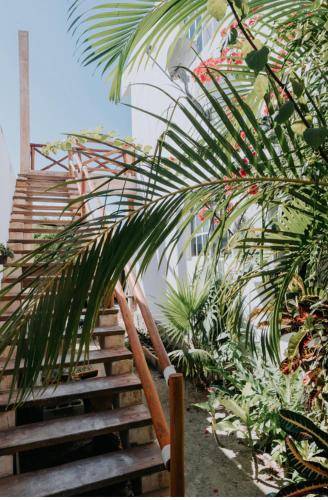 Appartement Holbox