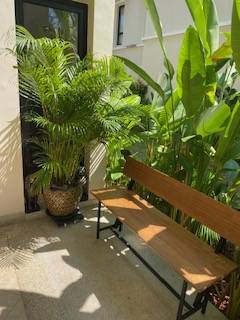 foto40