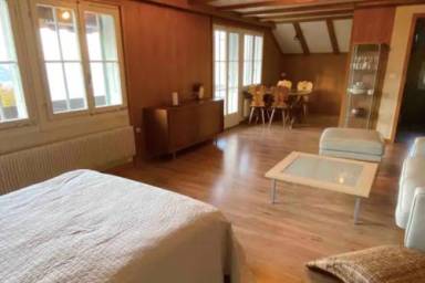 Ferienwohnung Thunersee