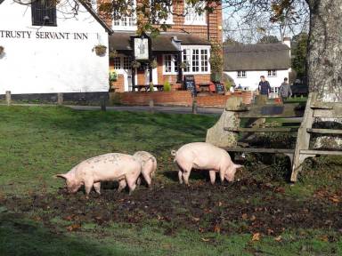 Bed and breakfast Lyndhurst