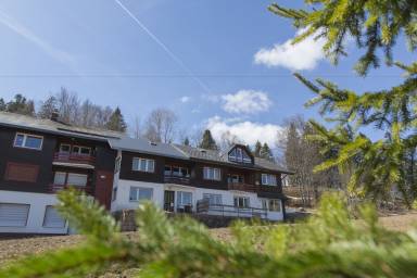 Appartement Feldberg