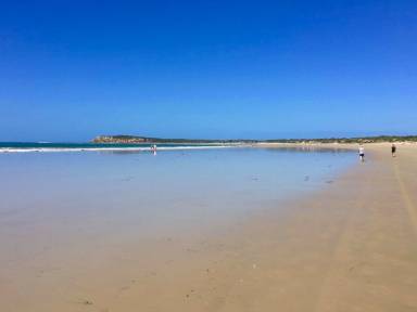 House  Ocean Grove - Barwon Heads