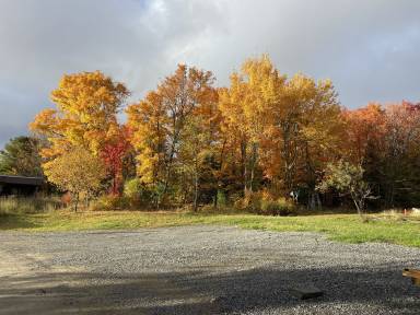 House Burk's Falls