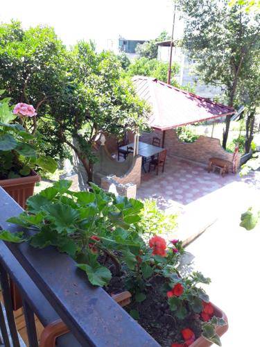 foto11