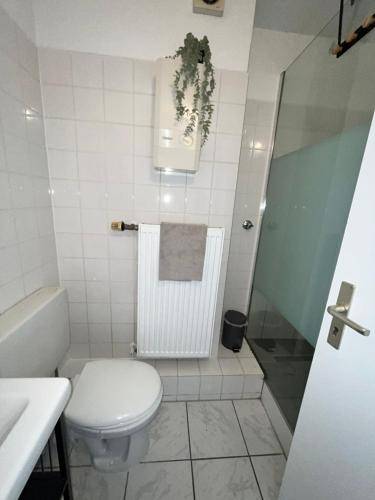 foto13