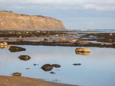 Cottage  Robin Hood's Bay