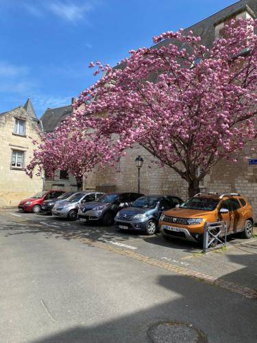 Appartement Chinon
