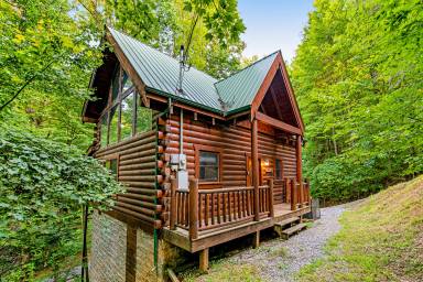 Cabin Sevier County