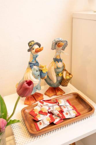 foto6