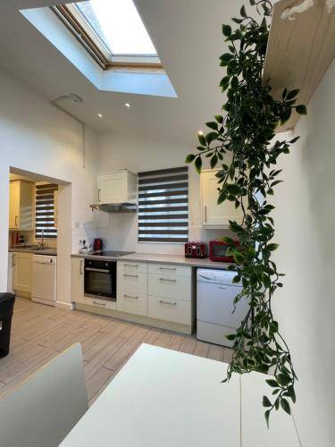 80 m² Ferienhaus