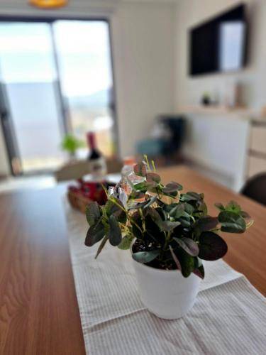 75 m² Ferienwohnung