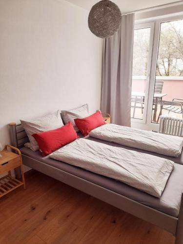 foto10