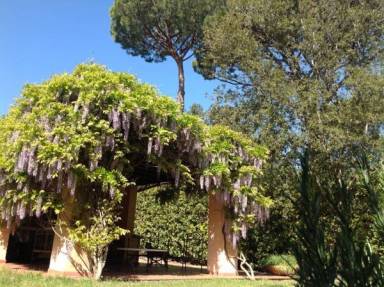 Villa Punta Ala