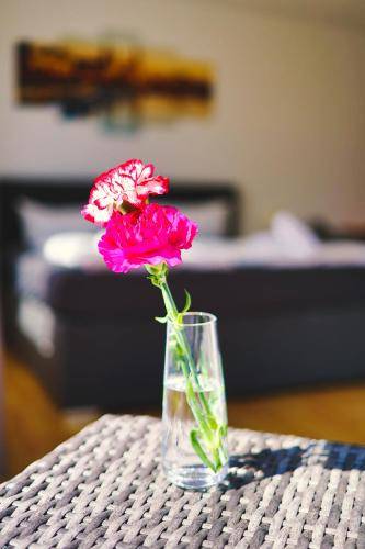 Serviced apartment Löbtau