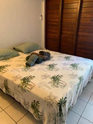 Appartement Pointe-à-Pitre