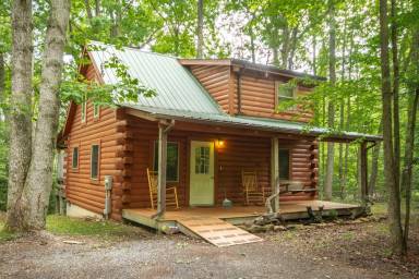 Cabin  Hico