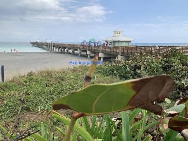 Airbnb  Juno Beach