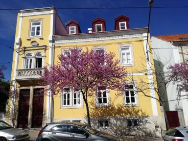 Bed and breakfast Coimbra