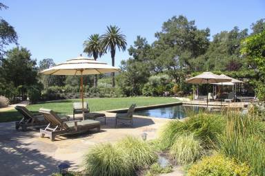 House Yard Geyserville