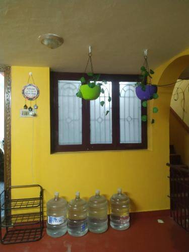 foto19