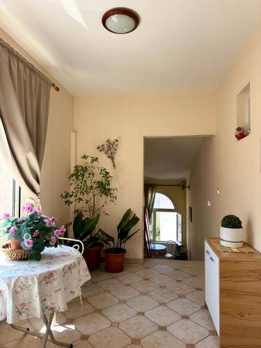 Rental apartment with patio — photo 3