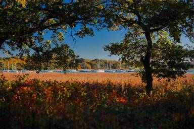 House Hamble-le-Rice