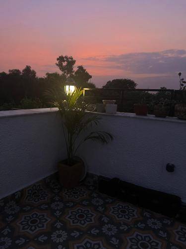 foto17