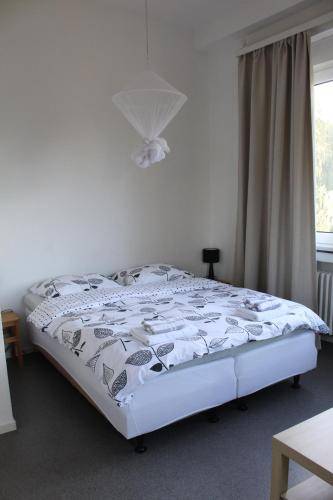 foto21