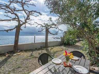 Logement 26 m²