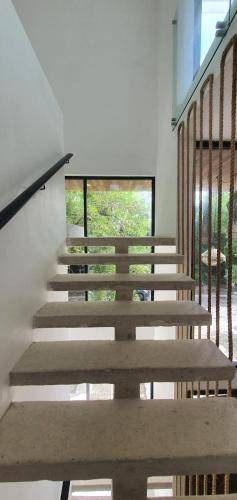 foto19