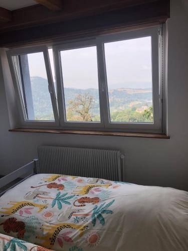foto22