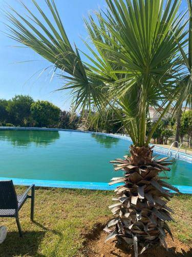 Apartma Tanger