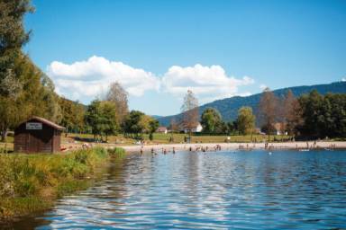 Chalet Saulxures-sur-Moselotte